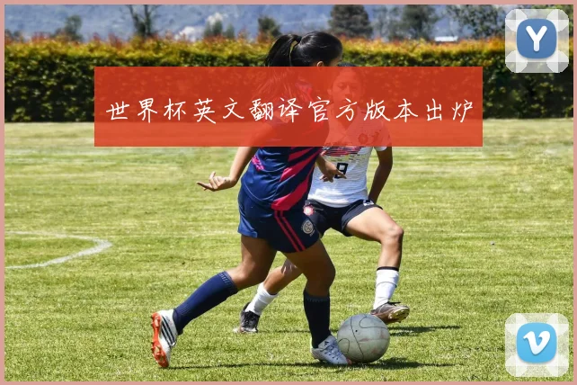 世界杯英文翻译官方版本出炉