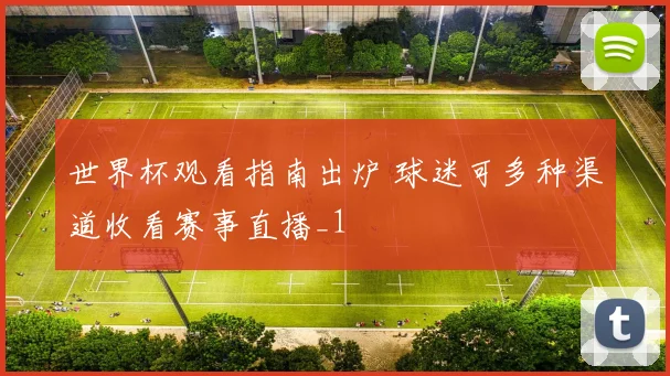 世界杯观看指南出炉 球迷可多种渠道收看赛事直播_1