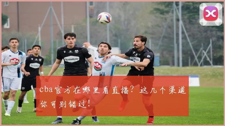 cba官方在哪里看直播？这几个渠道你可别错过！